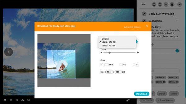 Screenshot der Download-Vorlage für Bilder in Canto.