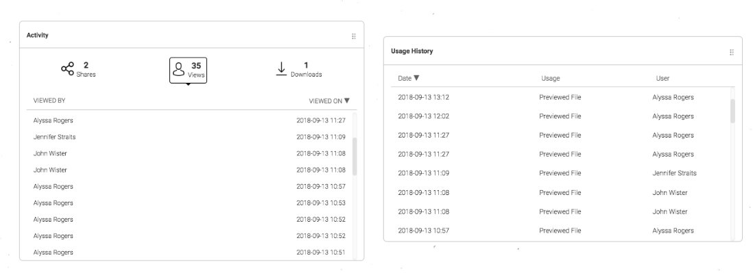 Screenshot von detaillierten Berichten im Canto DAM-System.