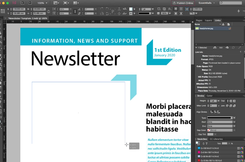 A user creates a newsletter using Adobe InDesign.