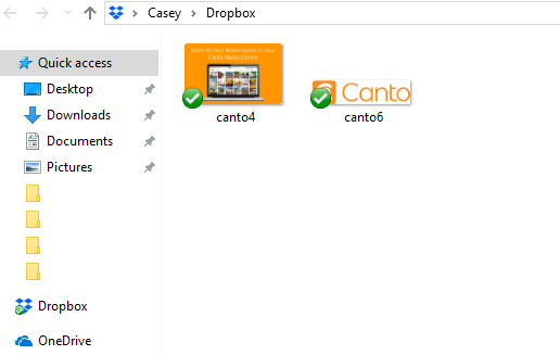 A screenshot of files within a Dropbox system.