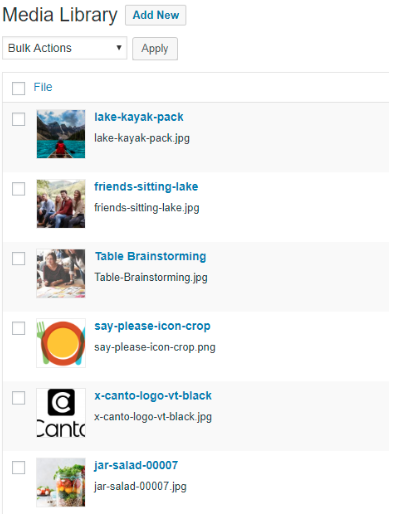 Media Library in new WordPress