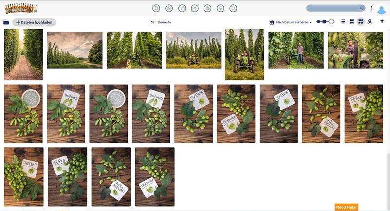 Fotos in Canto – Kulmbacher organisiert wichtige Medien-Assets visuell und zentral.