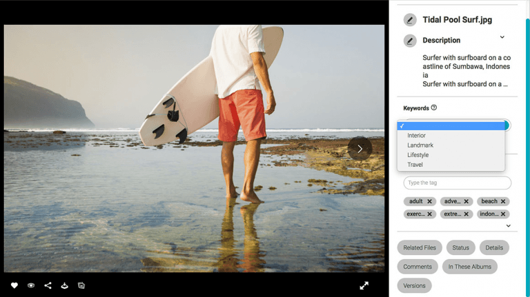 Ein Screenshot von Smart Tags neben der Detailansicht eines Bildes im DAM von Canto.