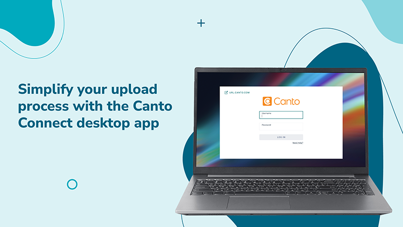 Canto Connect Windows Intergration