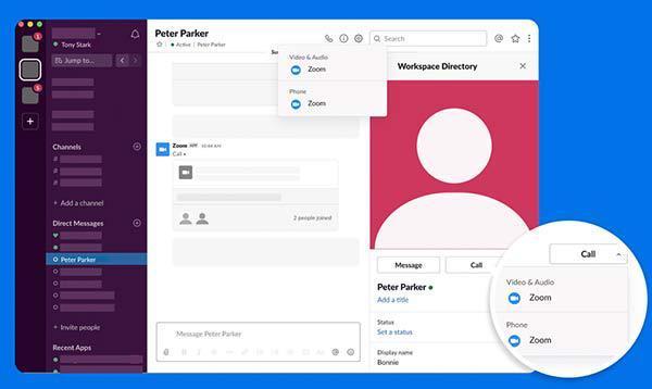 zoom interface 