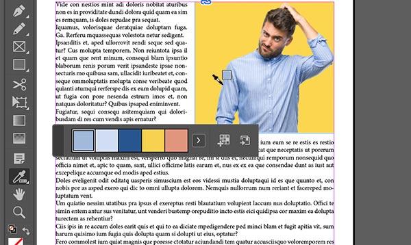 An image in the InDesign system.