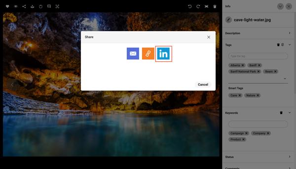 Ein Screenshot zeigt, wie man Assets von Canto in LinkedIn teilen kann.