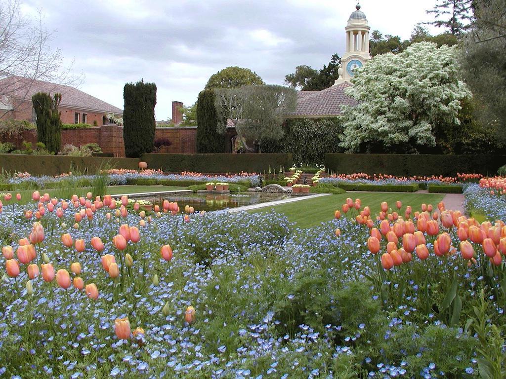 A photography of the garden at the Filoli Historic House & Gardens.