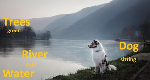 Ein Bild von einem Hund an einem See; die Objekte im Bild werden von beschreibenden Texten überlagert.