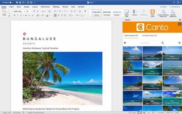 Eine Vorschau auf den Canto Connector für Microsoft Word im Einsatz.