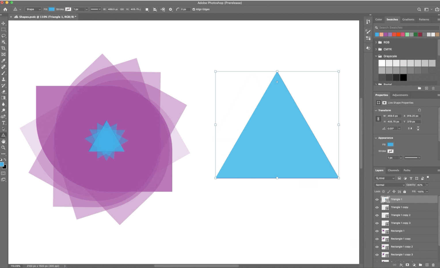 The Adobe Photoshop system.