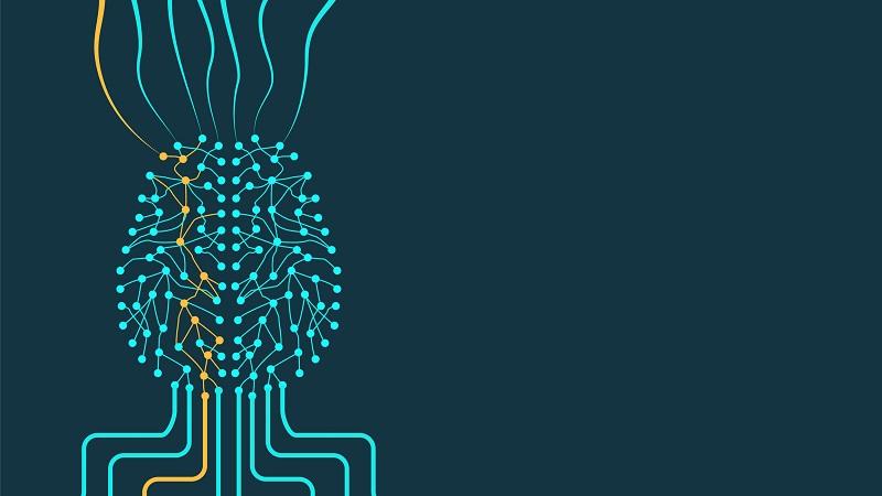 A brain mapped out digitally.