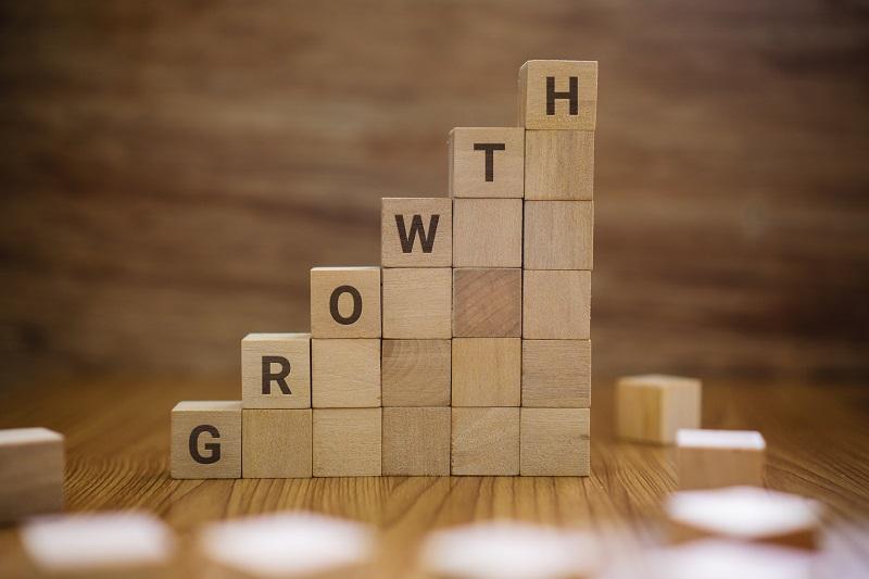 Blocks that read 'growth'.