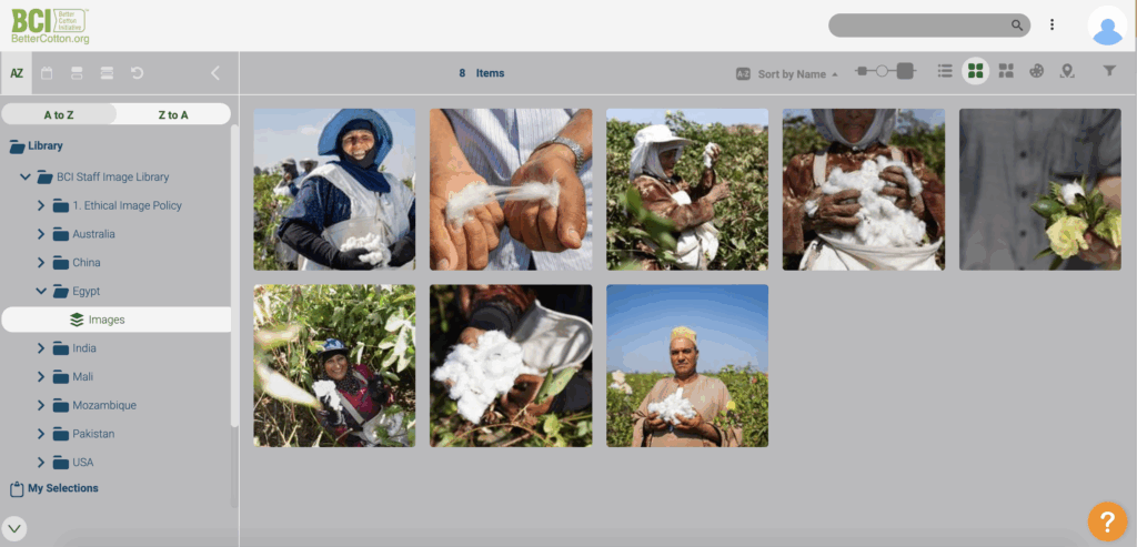 Screenshot of the Canto media library of Better Cotton initiatve.