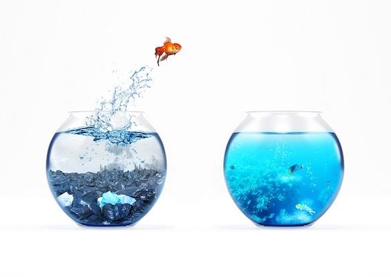 Ein Fisch springt von einem Aquarium in ein anderes, symbolisiert wie Sie CR2 in TIFF konvertieren können.