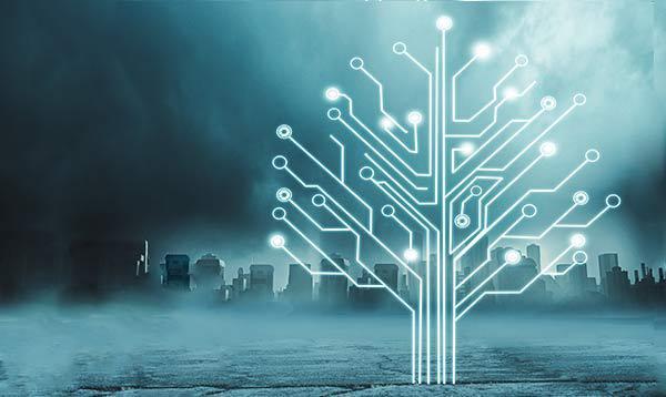 A data tree.