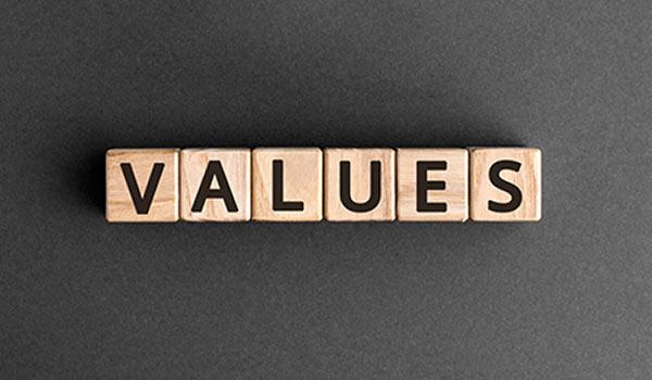 A group of blocks that spell 'values'.