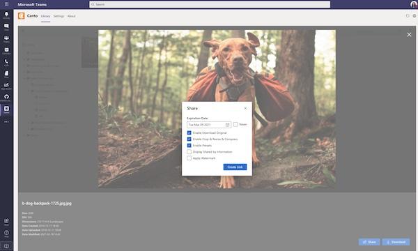 Ein Screenshot zeigt, wie das DAM-System von Canto in Microsoft Teams funktioniert.