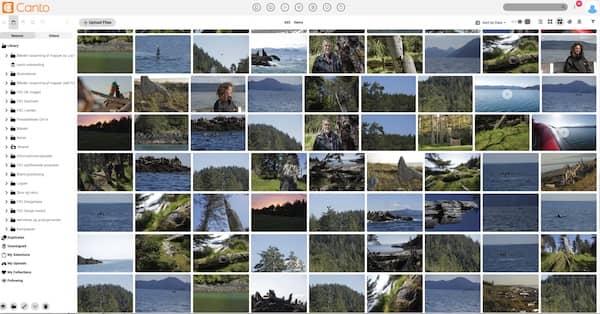Ein Screenshot der Canto Medienbibliothek des FSC Denmark.