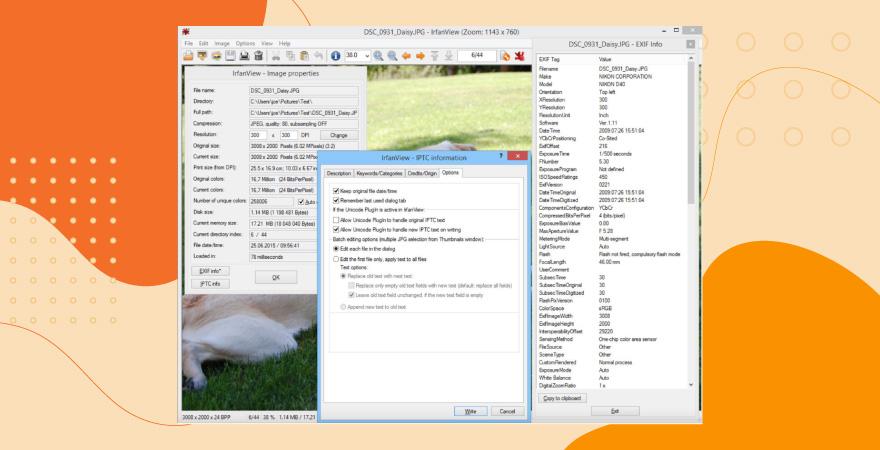 Screenshot of IrfanView photo metadata viewer tool over an orange background.