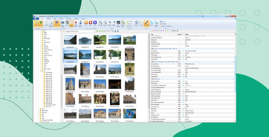 Screenshot of Metadata++ photo metadata viewer tool over a green background.