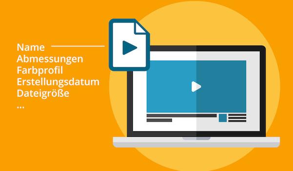 Neben einer Videodatei werden verschiedene Informationskategorien für Video-Metadaten angezeigt.