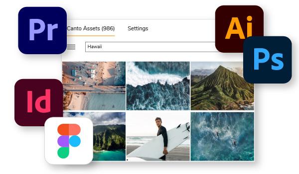 Surfing images in Canto integration for Adobe Creative Cloud and Figma.
