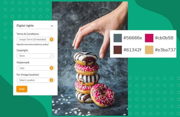 Metadaten einschließlich Nutzungsrechten und Hex-Codes für ein Bild von Donuts.