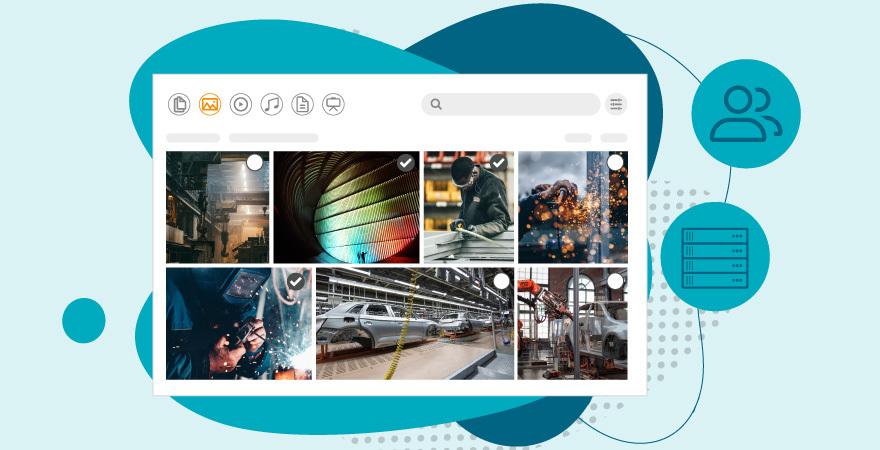 Bildergalerie in der Digital Asset Management-Lösung von Canto.