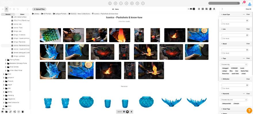 Screenshot of Lalique's asset library in Canto.
