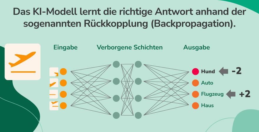 Ein KI-Modell lernt die richtige Antwort, indem es die mathematischen Modelle an einigen Knoten korrigiert und sie zurücksendet (Abbildung vor grünem Hintergrund).
