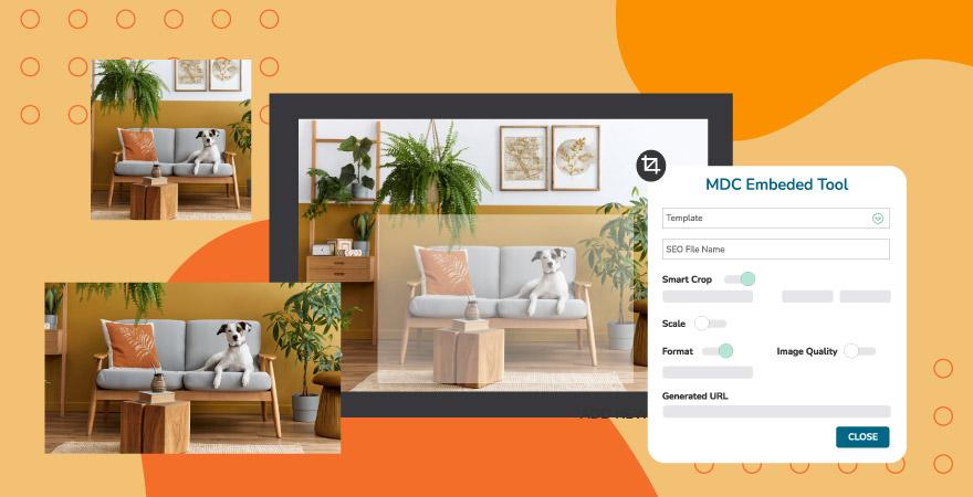 Differently sized photos of a love seat with a plant and UI elements of Canto on an orange background