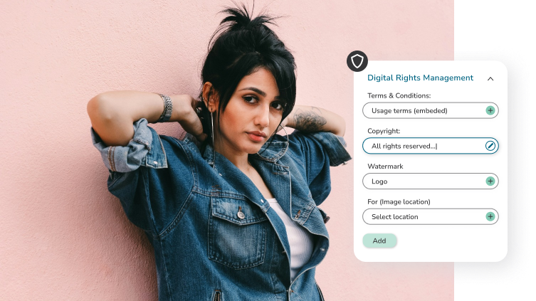Canto DAM Platform, digital rights managament, feature