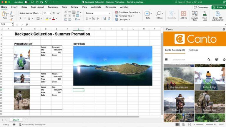 Ein Screenshot zeigt, wie das DAM-System von Canto in Excel integriert funktioniert.