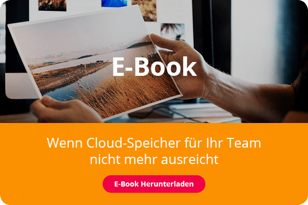 Deckblatt eines E-Books, es zeigt ein Paar Hände, die ein ausgedrucktes Foto zum Vergleich mit weiteren Fotos auf einem Bildschirm im Hintergrund hochhalten.