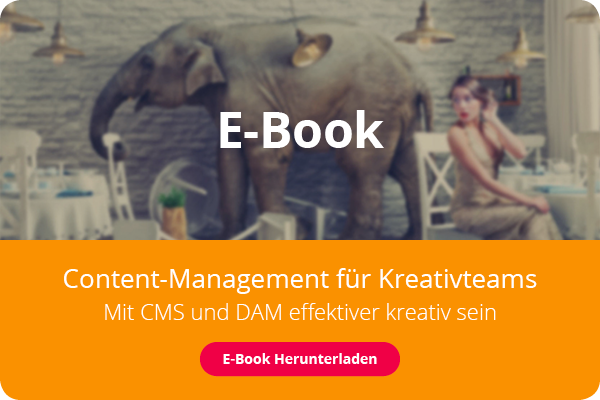 Cover des E-Books 'Content Management für Kreativteams', das eine elegante Frau zeigt, die im selben Raum mit einem Elefanten sitzt, der Möbel im Hintergrund zerstört.