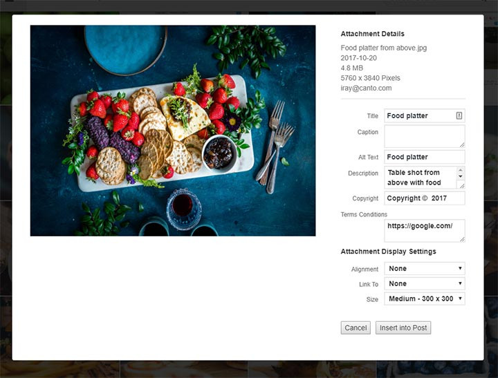 Screenshot der Detailansicht eines Assets in der WordPress Integration mit dem DAM-System von Canto.