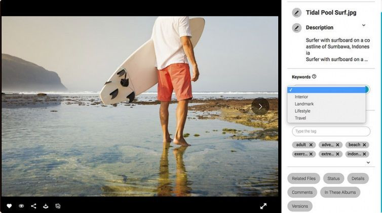 Screenshot der Detailansicht eines Assets im DAM-System von Canto; er zeigt das Bild eines Surfers sowie den Titel des Bildes, die Beschreibung sowie die Kategorien und Schlagwörter auf der rechten Seite.