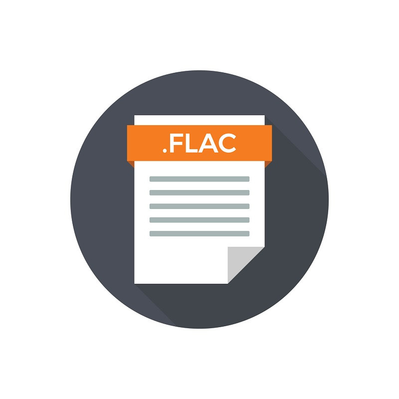 Das Dateisymbol des FLAC-Audioformats.