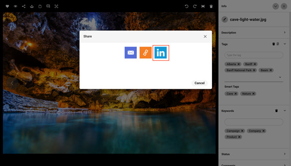 Ein Screenshot zeigt, wie man Assets von Canto in LinkedIn teilen kann.