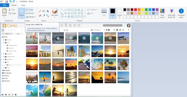 Ein Screenshot eines Bildes im Programm Paint, mit dem man Bilder zuschneiden kann.