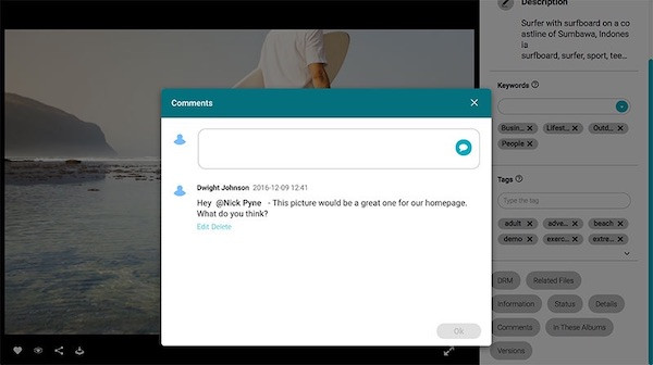 Ein Screenshot der Benutzeroberfläche des DAM-Systems Canto, einem idealen Beispiel für professionelles Datei-Hosting.