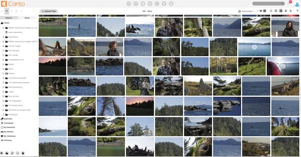 Ein Screenshot der Canto Medienbibliothek des FSC Denmark.