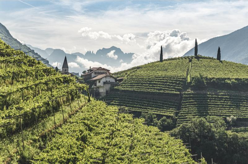 IDM/Südtirol Wein/Tiberio Sorvillo 