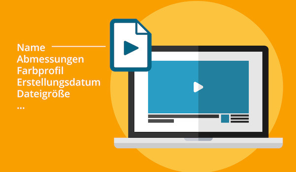 Neben einer Videodatei werden verschiedene Informationskategorien für Video-Metadaten angezeigt.