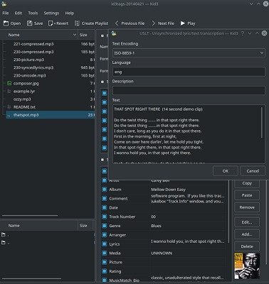 Ein Screenshot der Benutzeroberfläche von Kid3