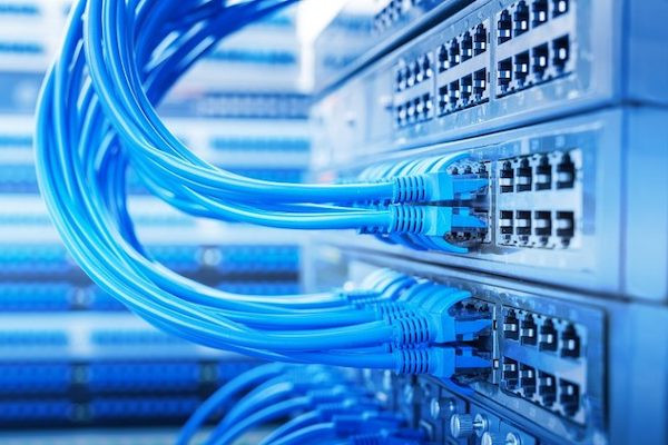 Blaue Kabel, die in einem Server stecken.