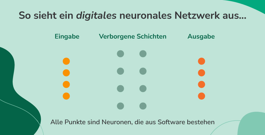 Ein digitales neuronales Netzwerk, bestehend aus Eingabe-, verborgenen Zwischen- und Ausgabeneuronen (Abbildung vor grünem Hintergrund).