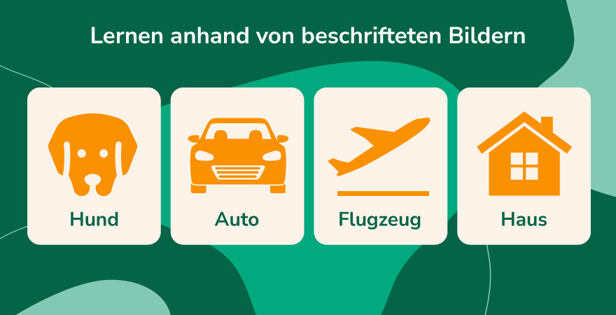 Anhand von beschrifteten Bildern lernen Kinder, wie ein Hund, ein Auto, ein Flugzeug und ein Haus aussehen (Abbildung vor grünem Hintergrund).