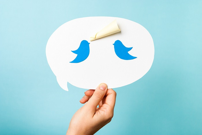 An animated image of two blue birds talking to one another.